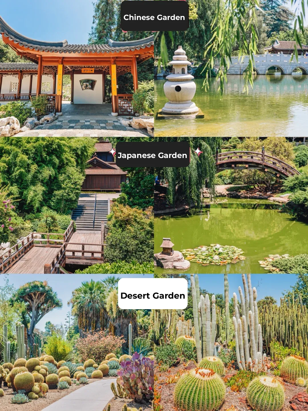 The Best Chinese Garden in the USA, Hands Down - Huntington Library