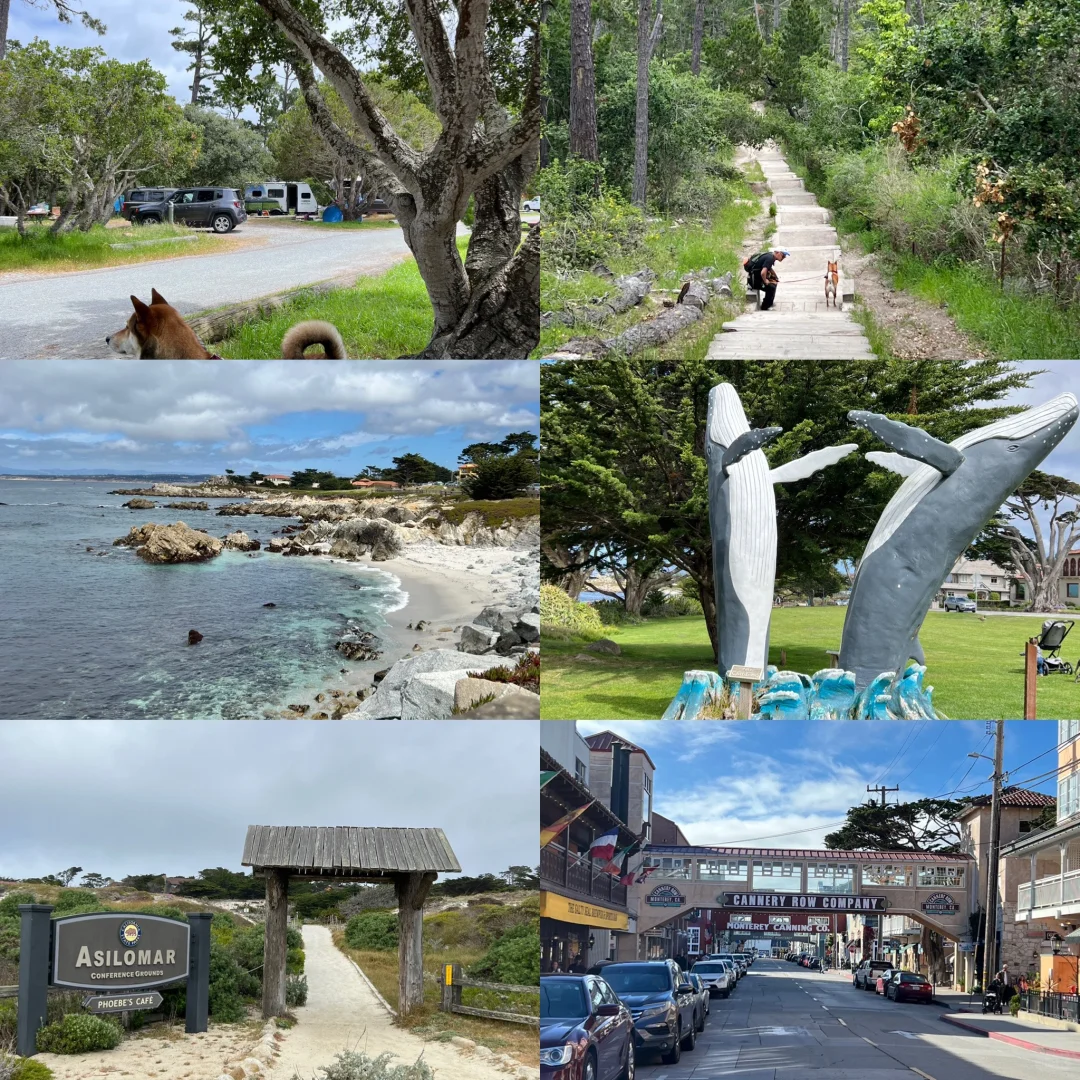 "Camping in Monterey"