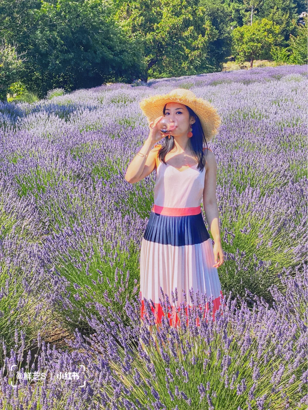 San Francisco Bay Area | Perfect Getaway Spot for a Short Break – Lavender Fields in Sonoma