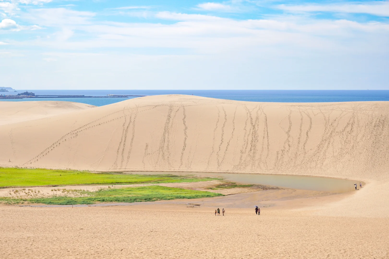 3-Day Free & Easy Trip to Tottori and Tokushima