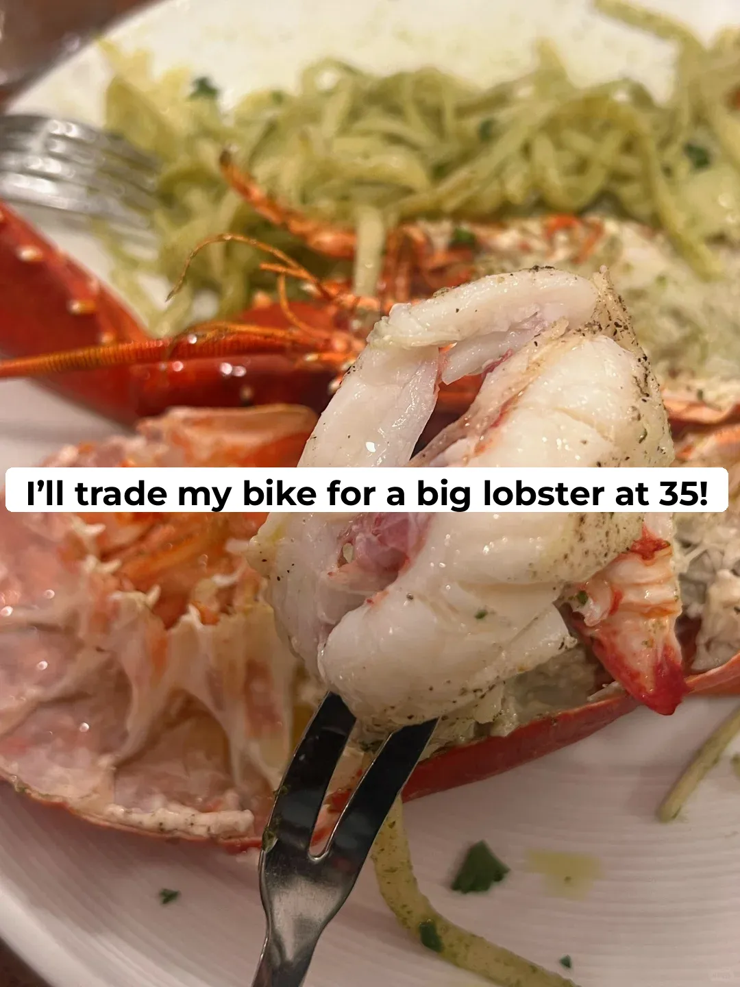 🇫🇷35€ for a Giant Lobster? Forget the Bike!