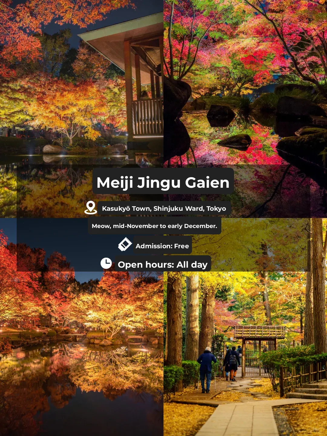 Share｜Tokyo's Autumn Maple Leaf Park 🍁