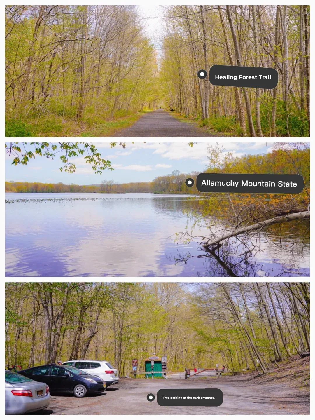 New York I Canal Town 🏠 Breathtaking Mountain Views 🏞 A Fall Foliage Invitation 🍁