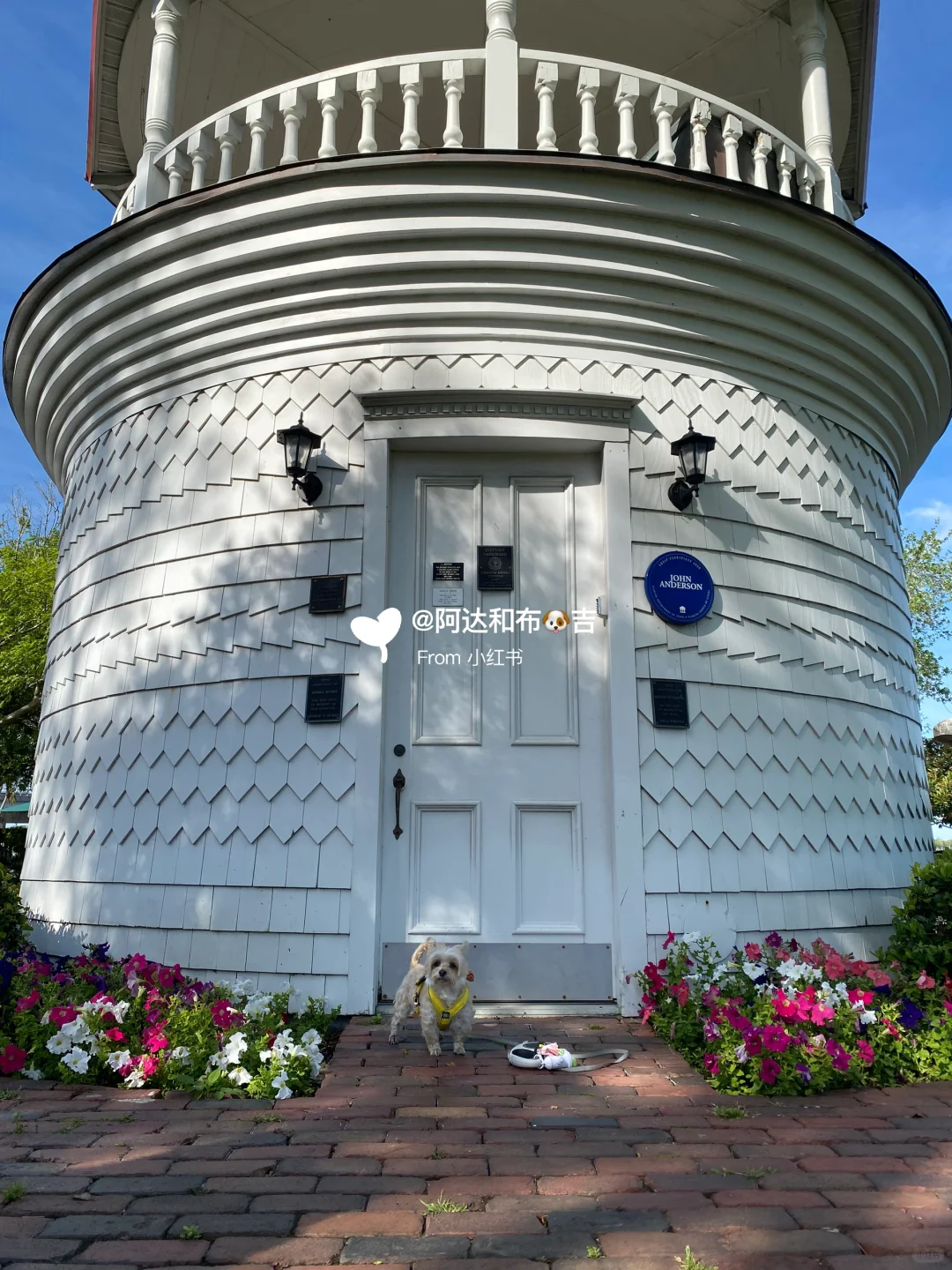 Hidden Gem in Florida 🐾 Perfect Spot for Dog Walking 🐾