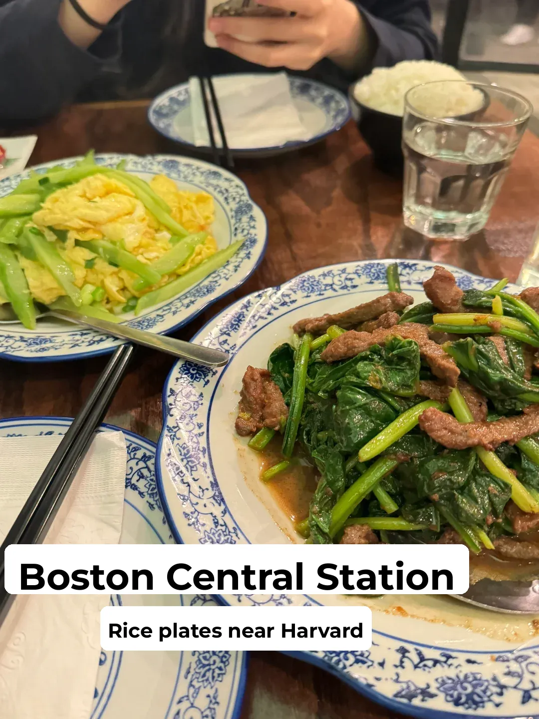 Boston | Central Square’s Quick Bite for Students: Wok-Hei Packed Rice Plates