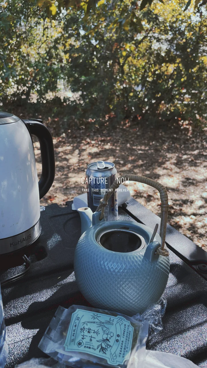 The Scenery Here is Absolutely Stunning!