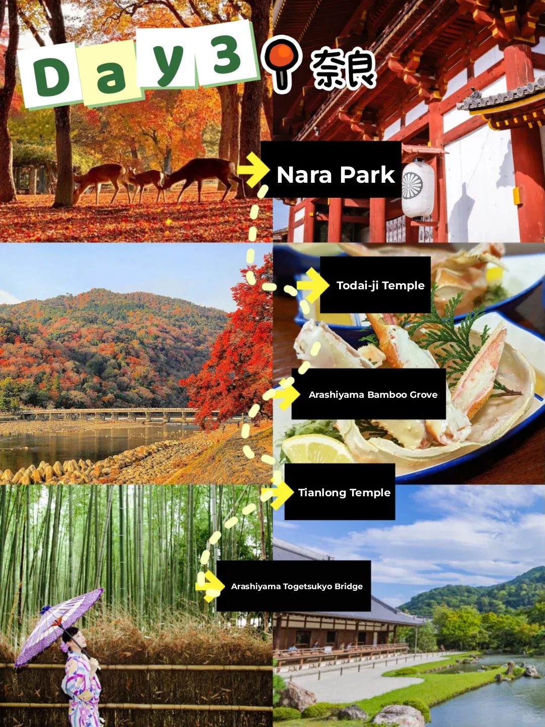 Ultimate Japan Fall Foliage Travel Guide ‼️ 6k Budget, Unbeatable Experience