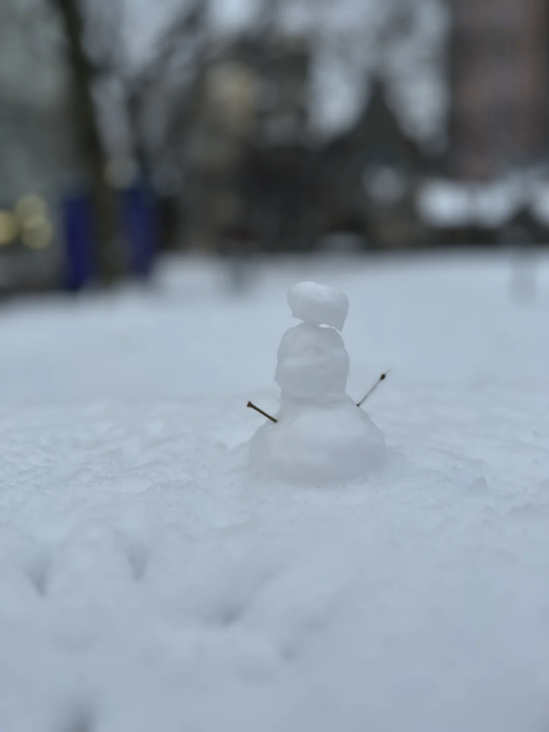 Philadelphia Rental Diary (Part 2)