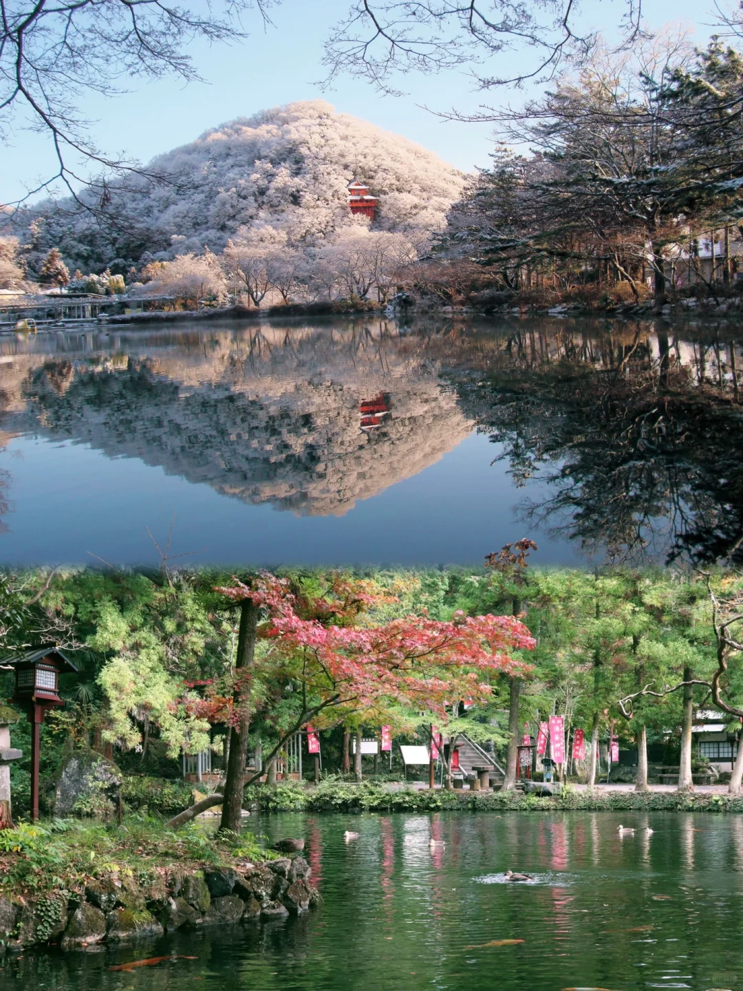 Japan Trip ✈️ Fell in Love with Tochigi Prefecture, Immersed in Exotic Charm