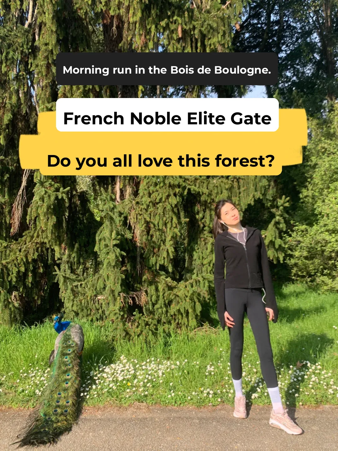 What's the Magic Behind This Forest That French Aristocrats and Elites Adore?