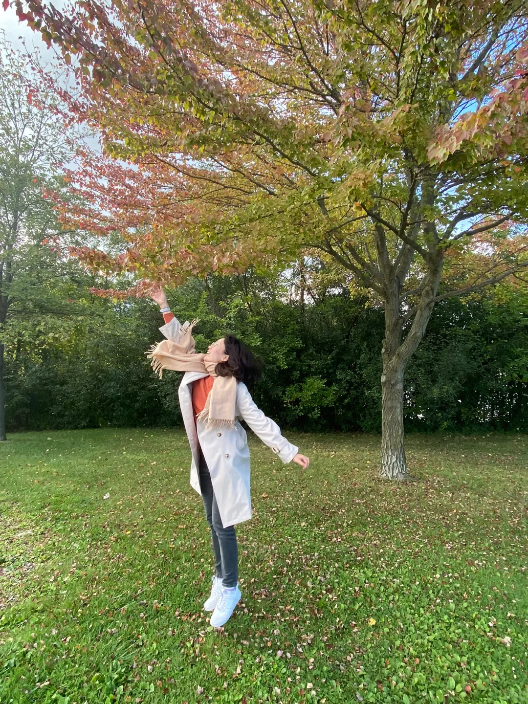 Ann Arbor & Detroit: An Autumn Travel Journal