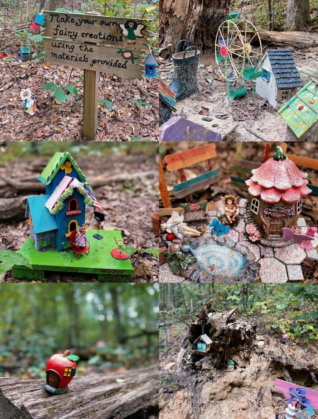 Atlanta | Sawnee Mountain—A Familiar Favorite for Everyone