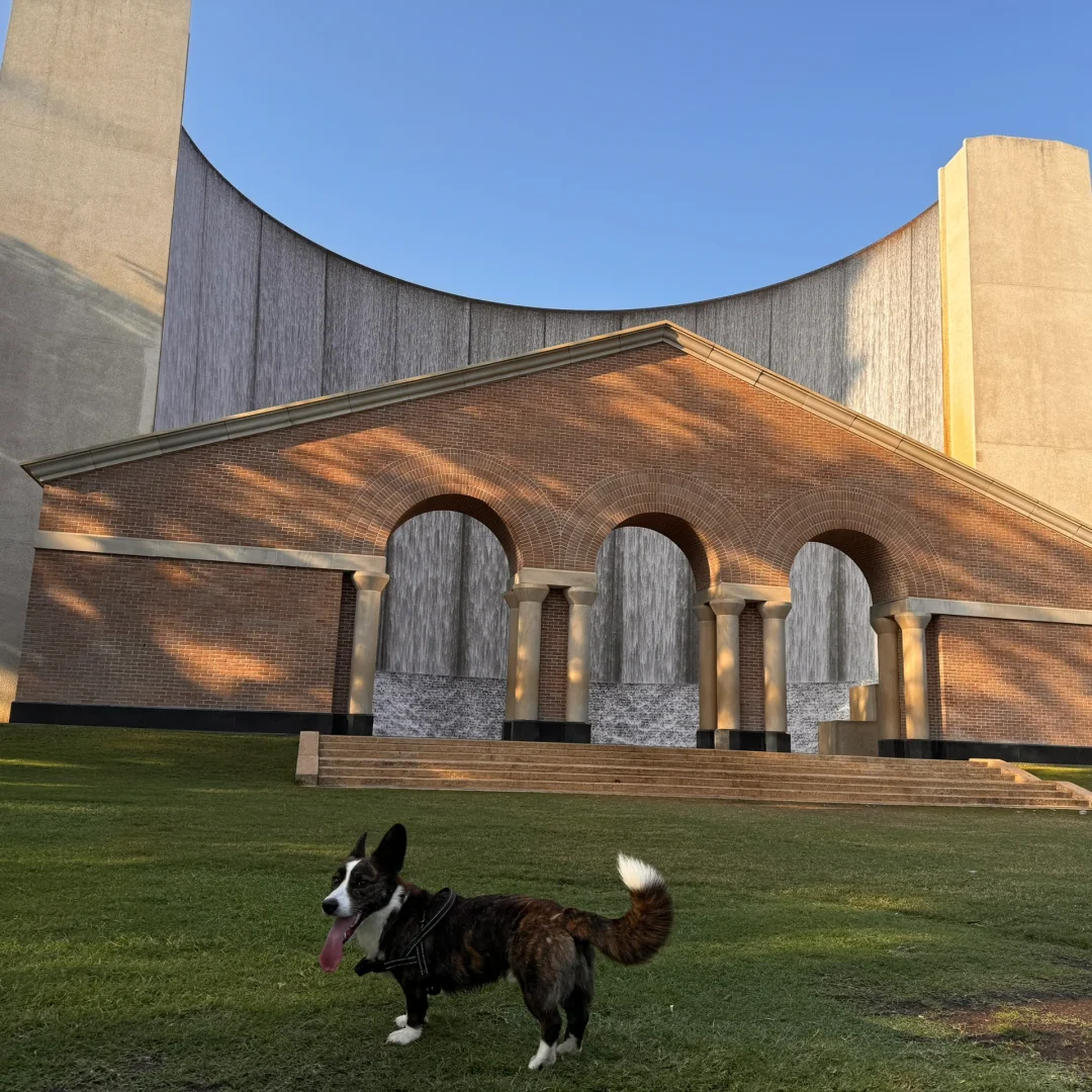 Houston Summer Travel Guide with Your Dog