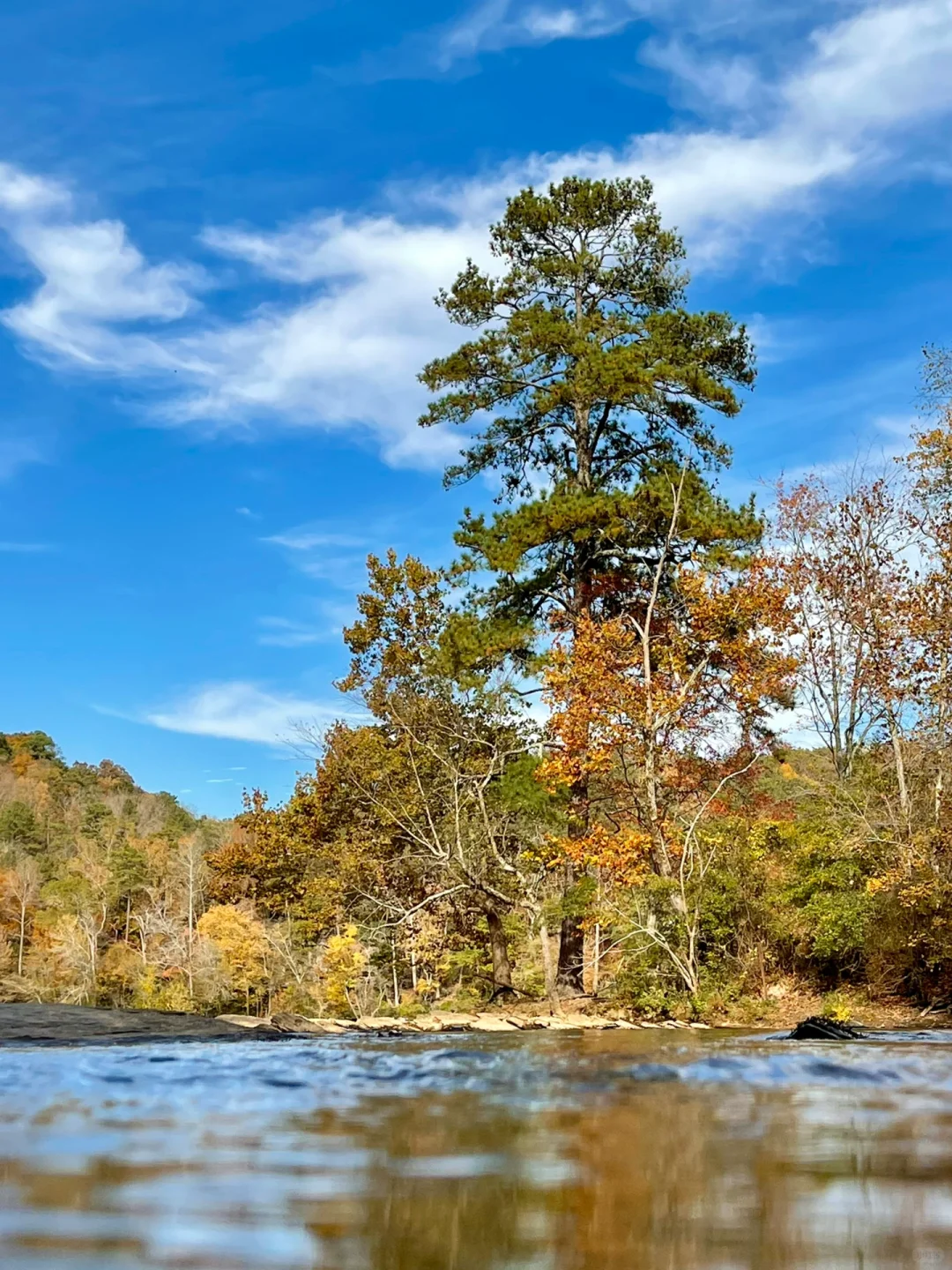 📍Around Atlanta! Hidden Gem! Off-the-Beaten-Path! Hiking Trail!