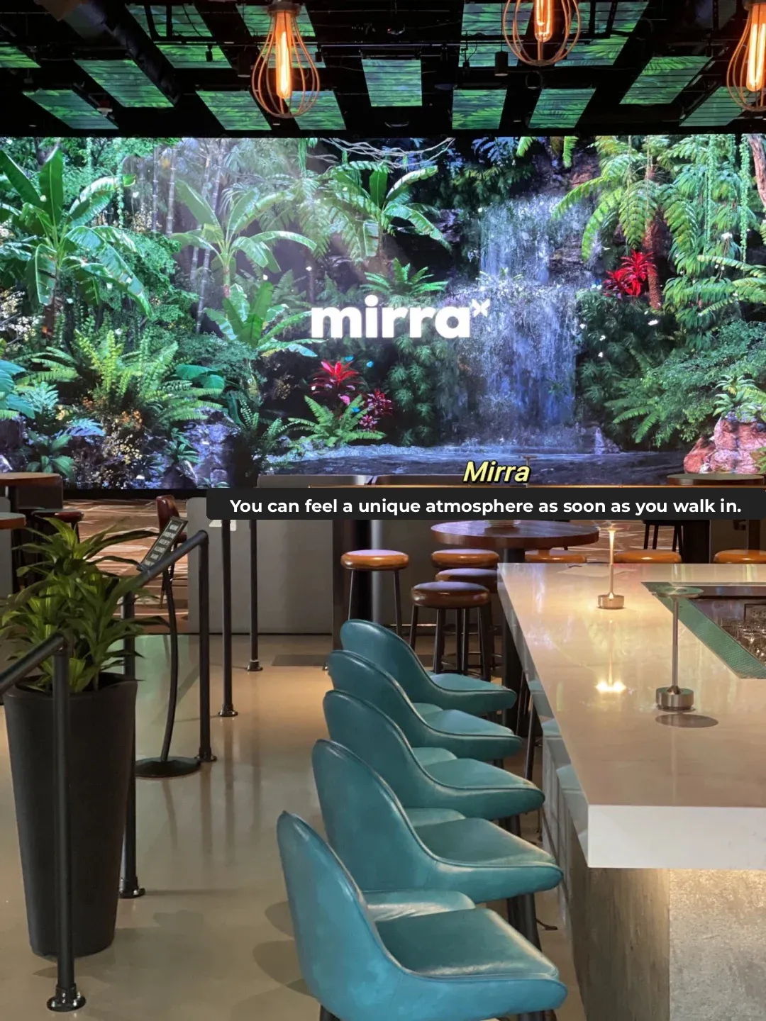 Top Indoor Spots in Seattle | Immersive VR and Live Experiences 🤩