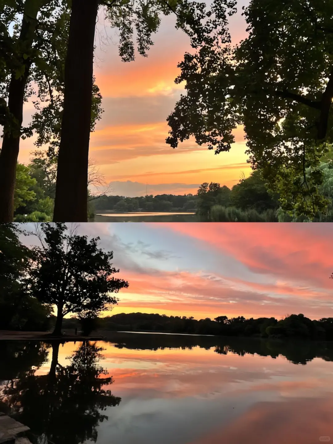 Blown Away by the Sunset at Brooklyn's Prospect Park 😍