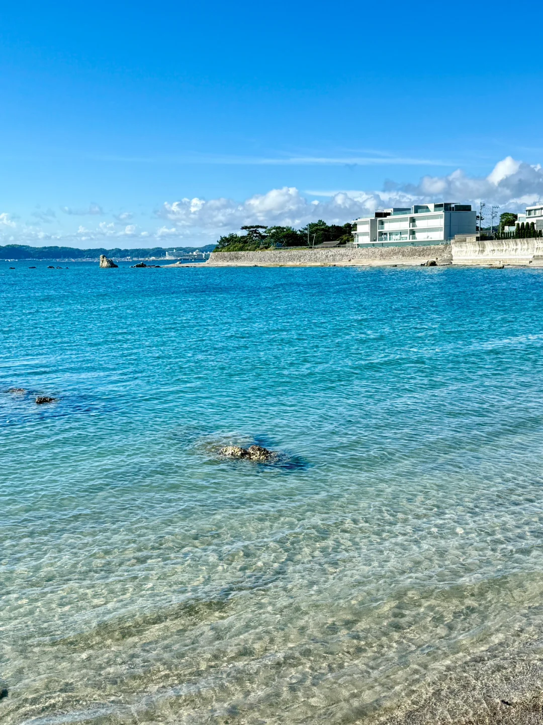 Exploring Tokyo's Coast: Discovered This Stunning Jellyfish Sea 🌊