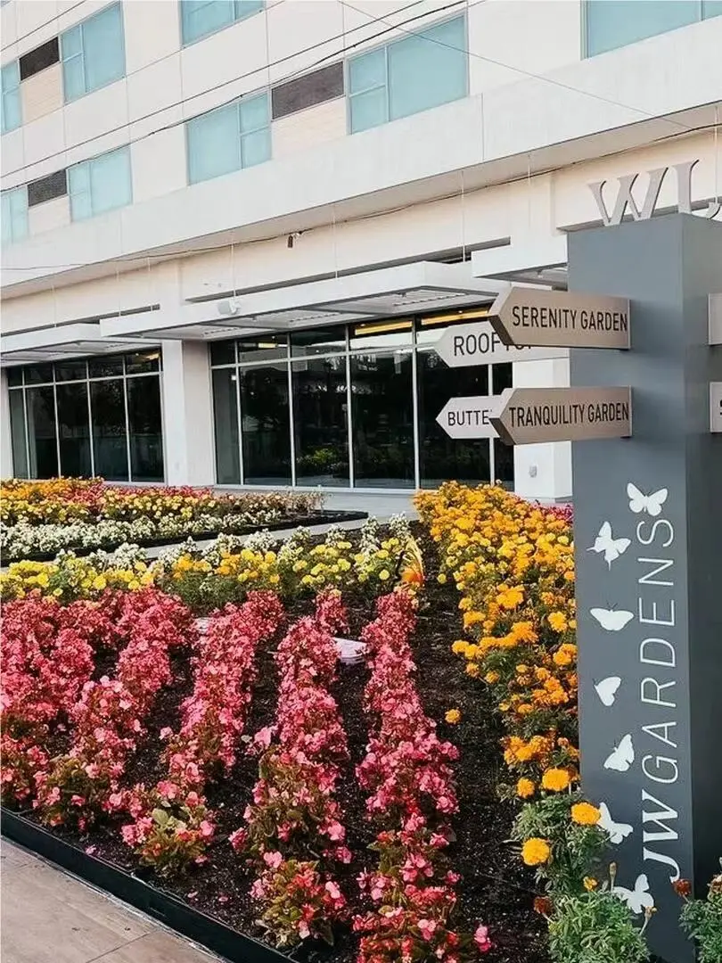 "Complete Guide to Booking Hotels in Anaheim, California"