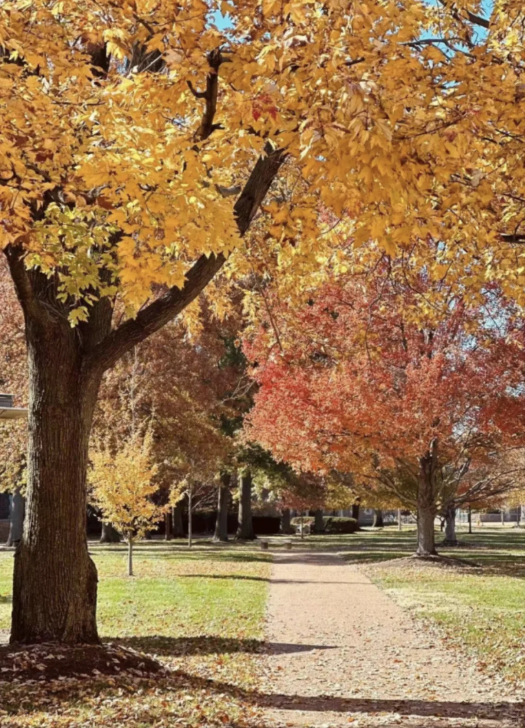 Must-Visit Attractions Near St. Louis!! Drop your favorites in the comments 😍