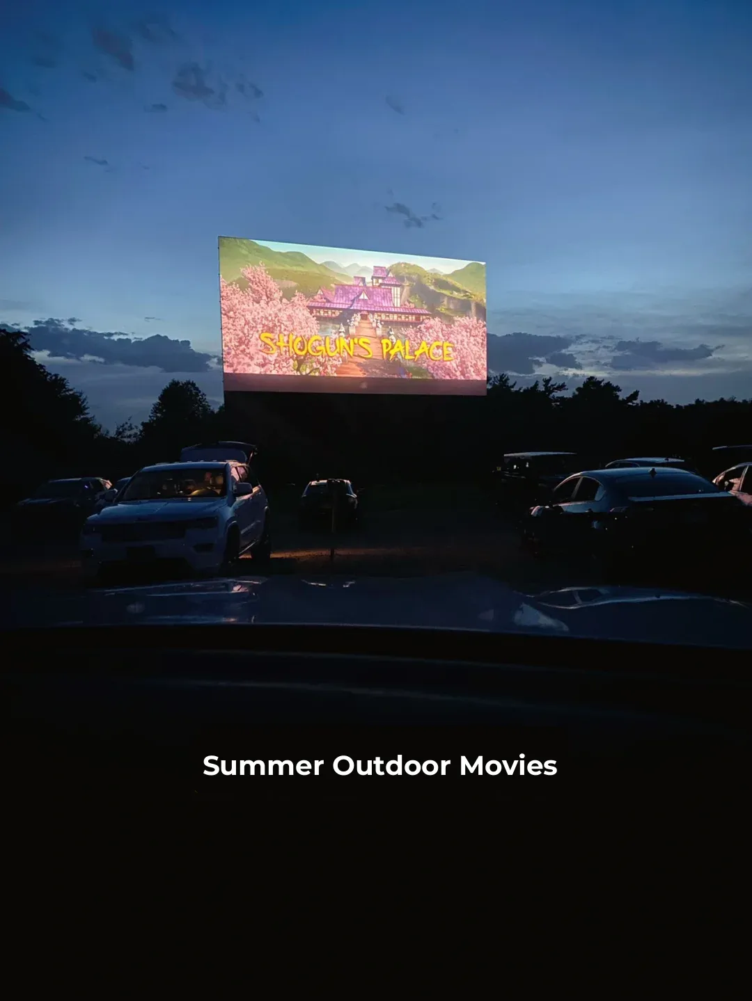 Open-Air Cinema in Columbus, Ohio