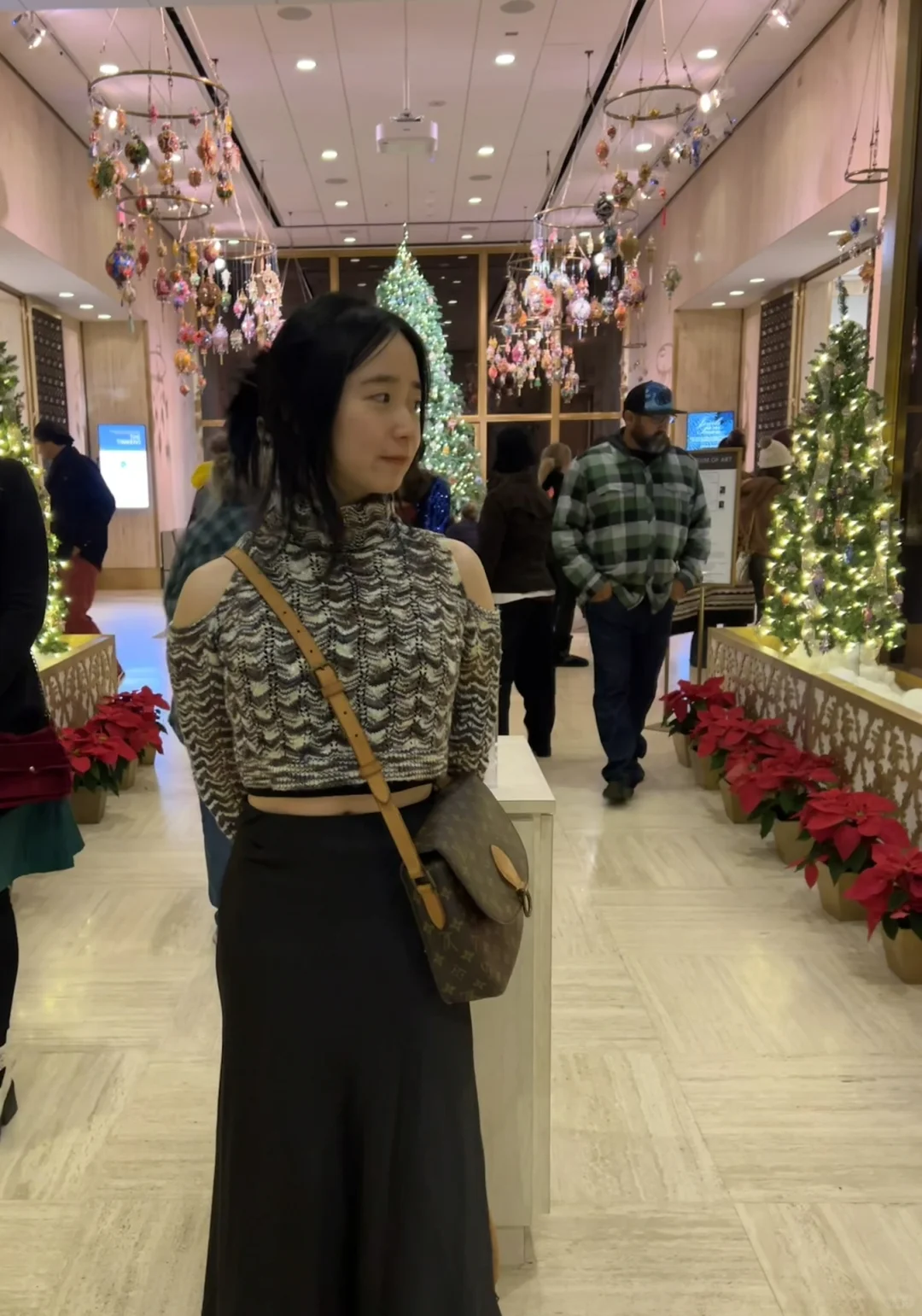 San Diego 2022 Christmas Limited Edition Holiday Lights