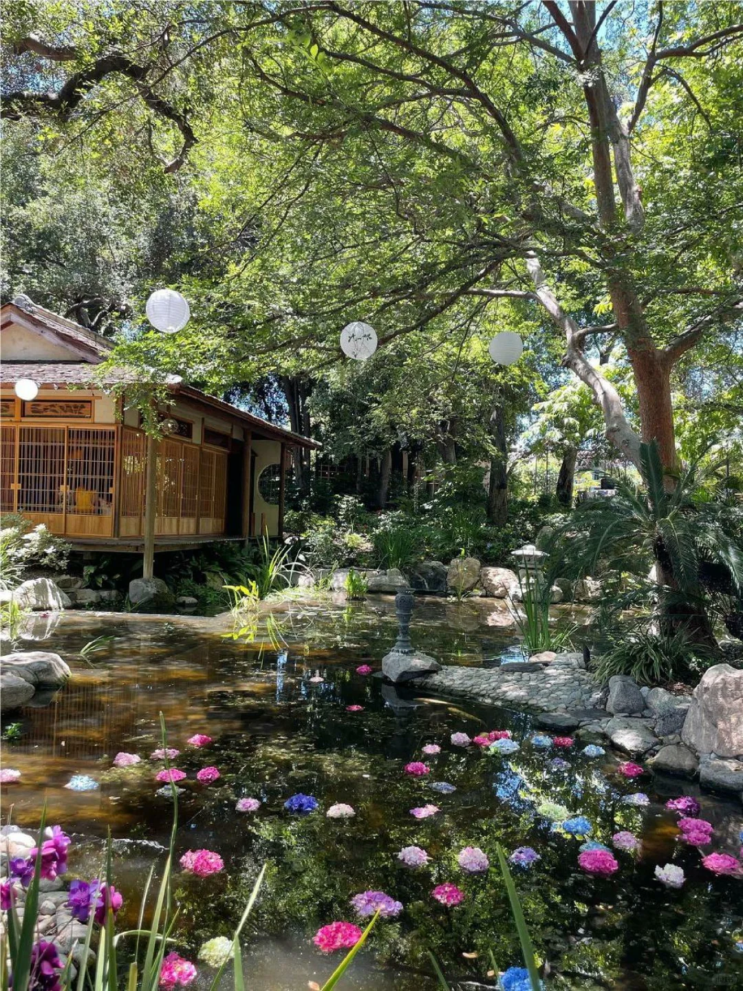 Hidden Gem: Japanese Garden in LA 🌸