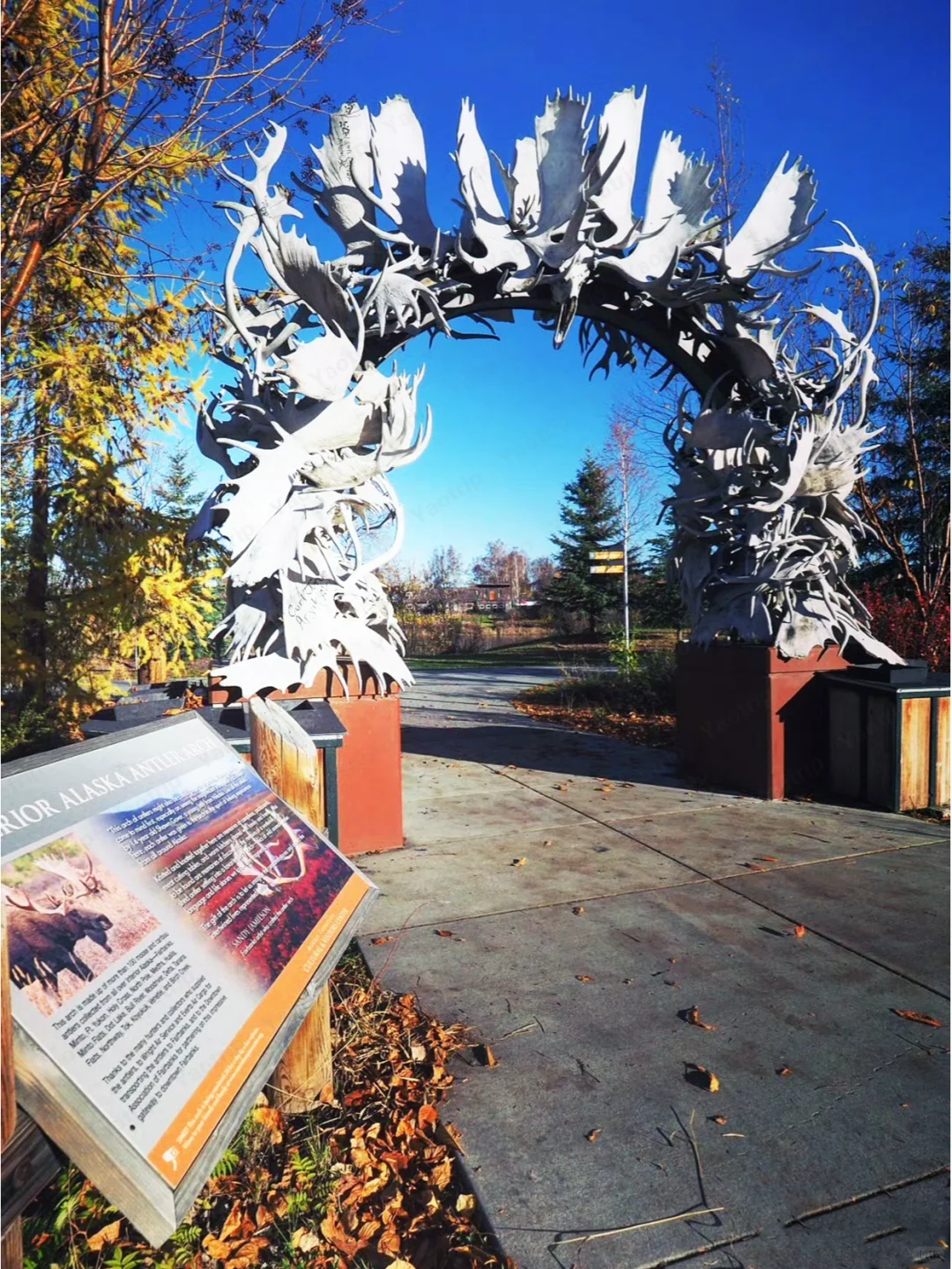 Lazy Person's Guide to Alaska 🔥 5 Days, 4 Nights Detailed Itinerary