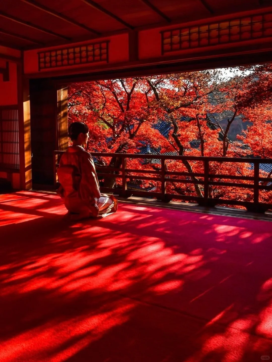Hidden Kyoto Autumn Leaves Adventure | Yanagidani Kannon Maple Week