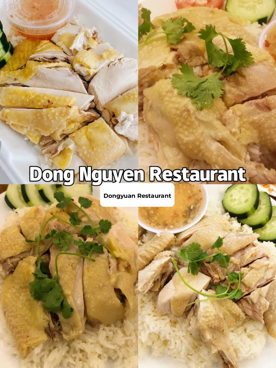 7 Must-Try Hainanese Chicken Rice Spots in LA – Not Enough to Satisfy Your Cravings 🤤