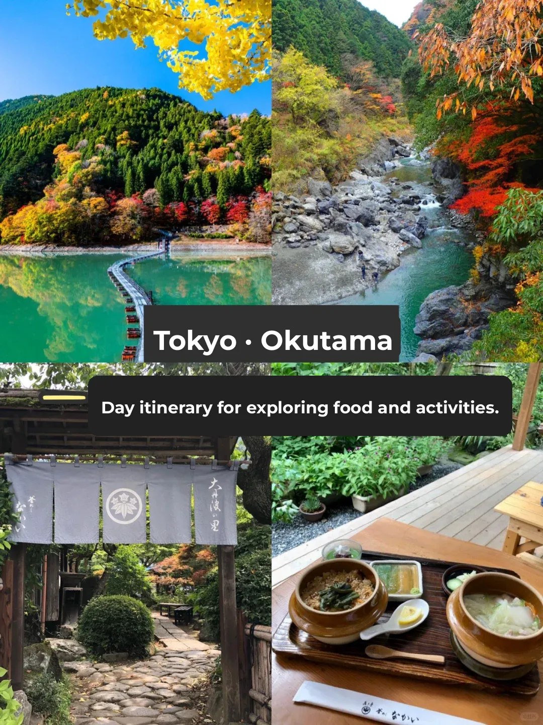 Tokyo's Hidden Gem Backyard | Okutama Lake, Time for Maple Viewing! 🍁