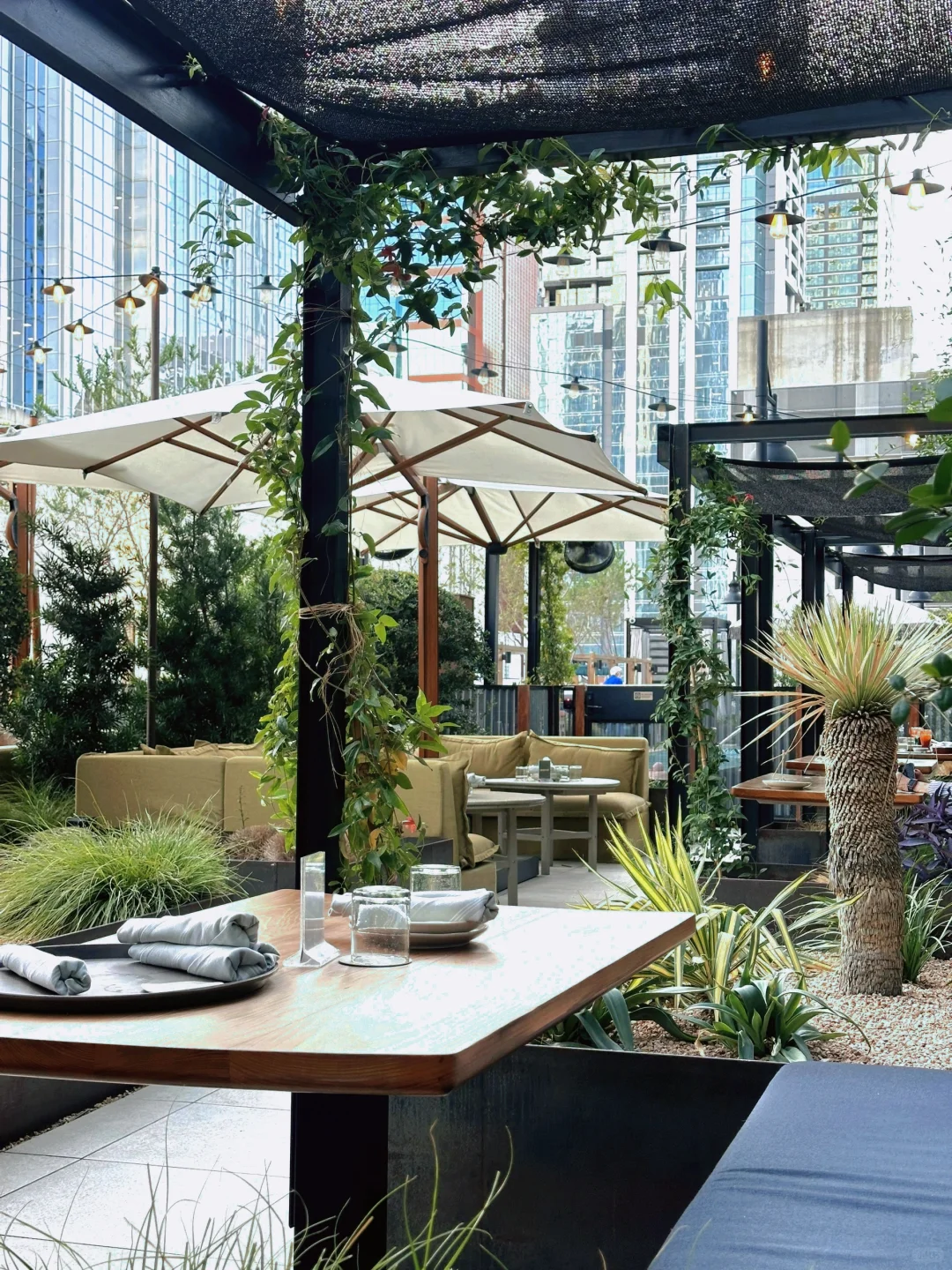 Austin | Rooftop Urban Sky Garden at Arriba Abajo