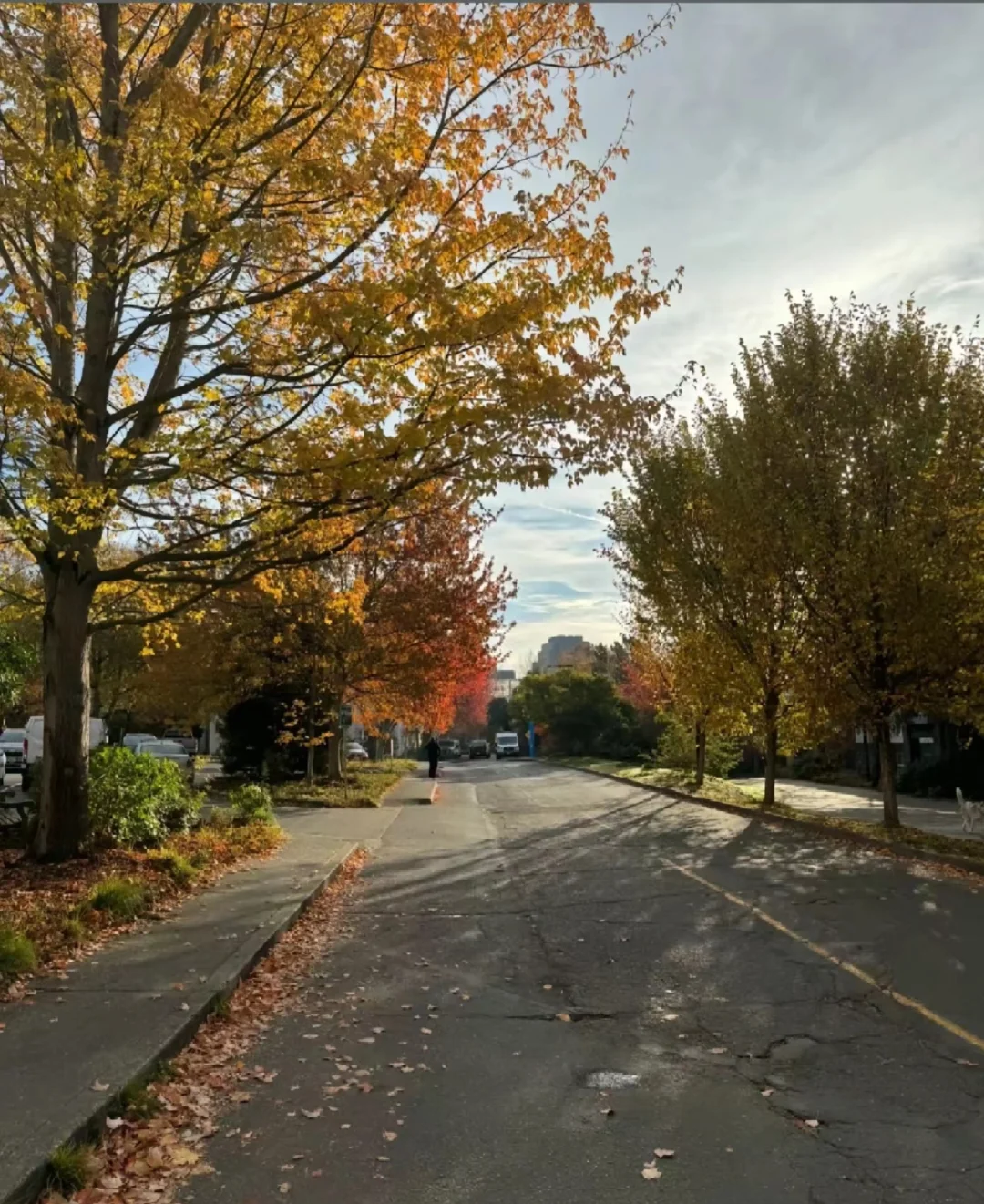 Affordable and Cozy Budget Hotels in Seattle Are Here❗❗