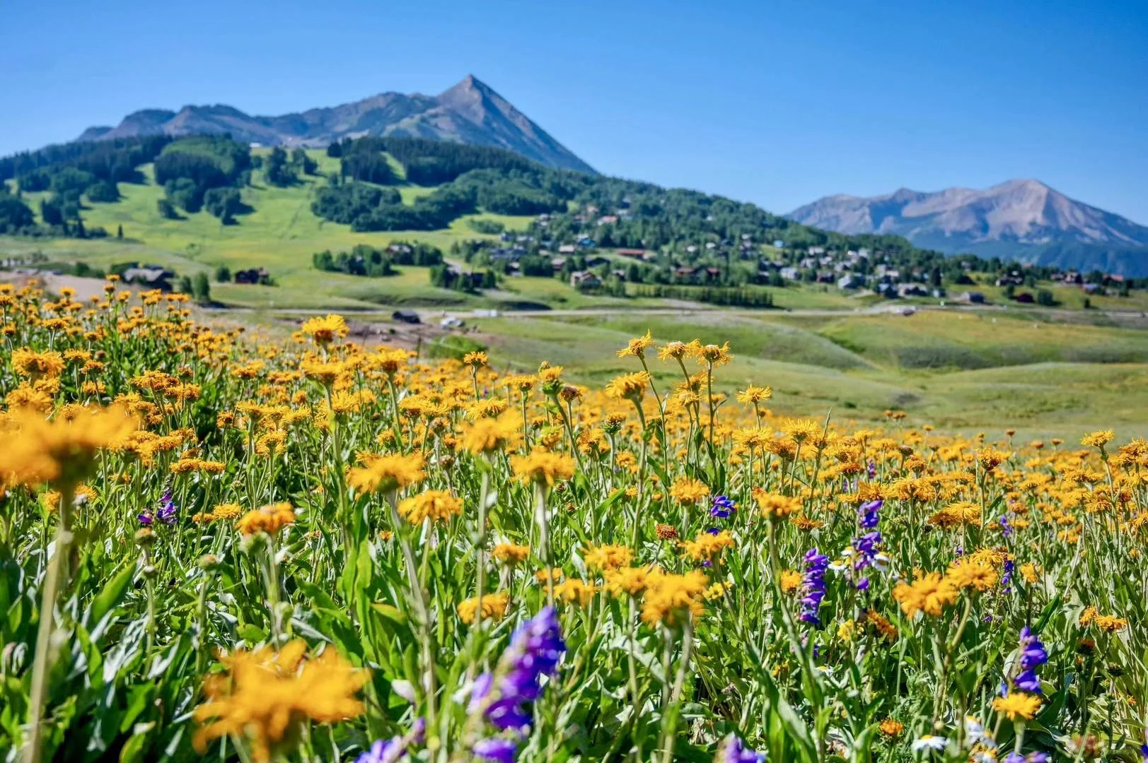 That Summer, The Trail We Walked Together (Part 1)