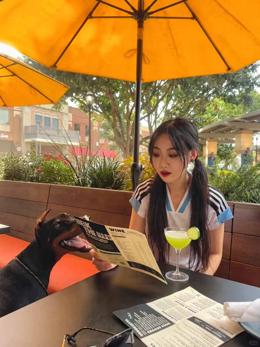 Houston Katy: Taking My Pup 🐕 Out to Eat Is Pure Bliss