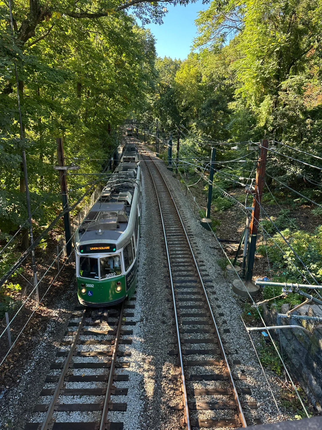 Jungle Subway & Cobblestones | Scenic Spots to Check Out in Downtown Boston