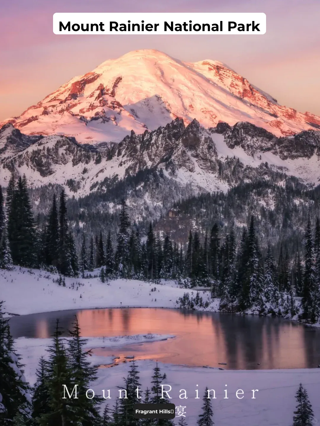 March to March: Mount Rainier National Park Travel Guide | Experience a Snowy Spectacle