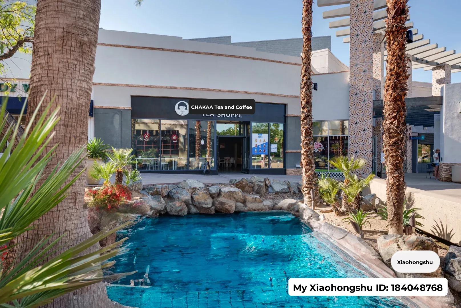 🧋Chakaa's Bubble Tea Empire for Sale🧋