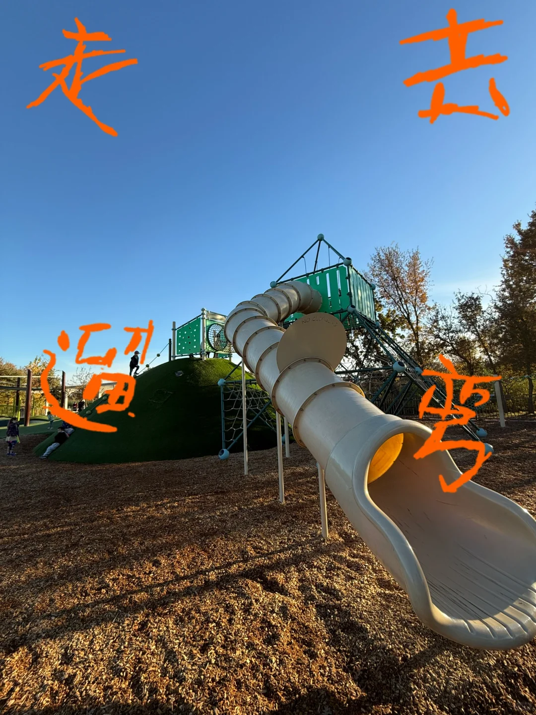 Sacramento Kid-Friendly Outing: Hillside Park No. 56