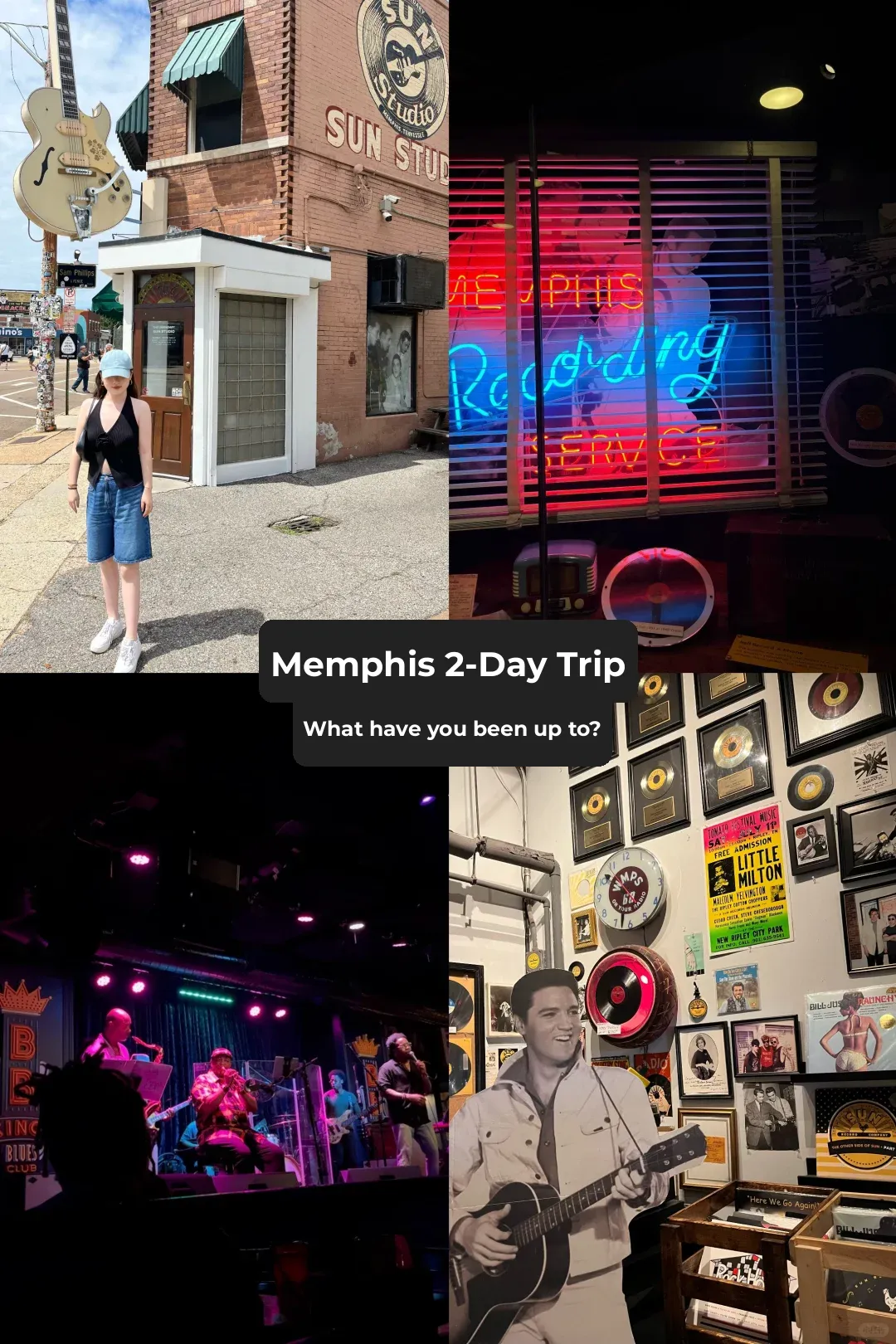 Hidden Gems in the Southern U.S.: What Can You Do in Memphis?