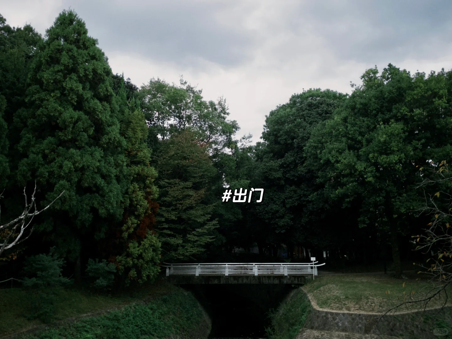 Day 2 in Kyoto, didn't even do much, how did I get so tired?