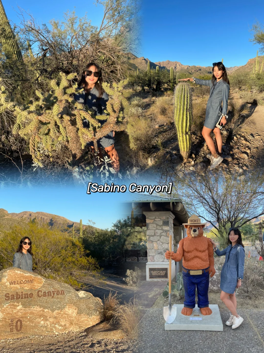 Tucson's Ultimate Two-Day Itinerary: A Foolproof Guide to Must-See Spots and Local Eats