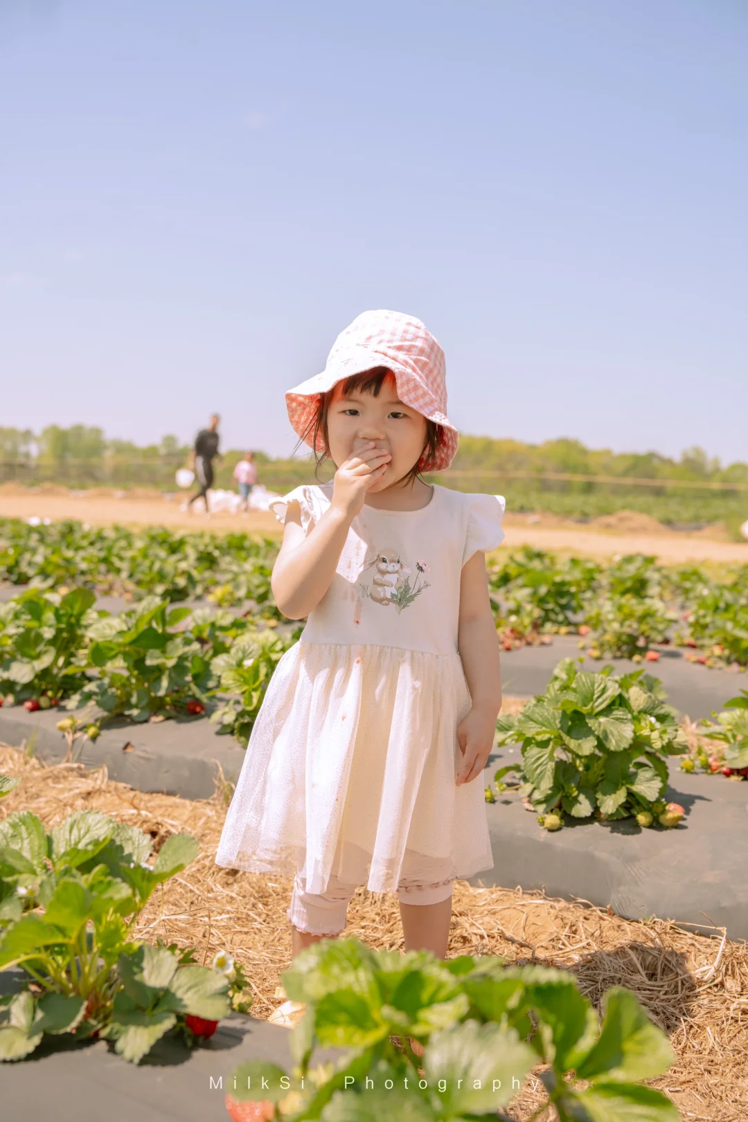 Seasonal Farm Activities in Atlanta 🍓 | Year-Round Recommendations