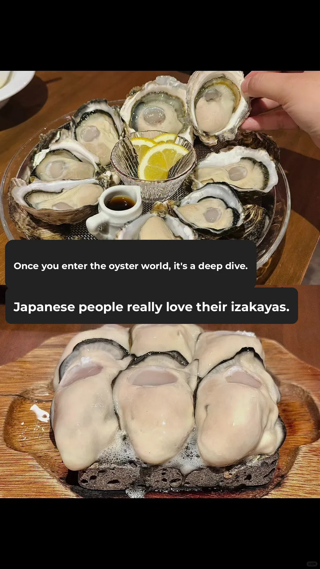 A Japanese Oyster Bar Where You Can Drink and Recharge at the Same Time! Absolutely Amazing!