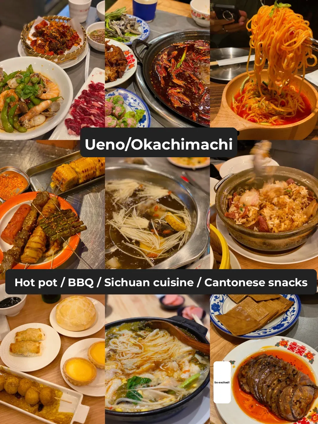 🇯🇵 Chinese Food Heaven | Warning: Not for Dieters!!