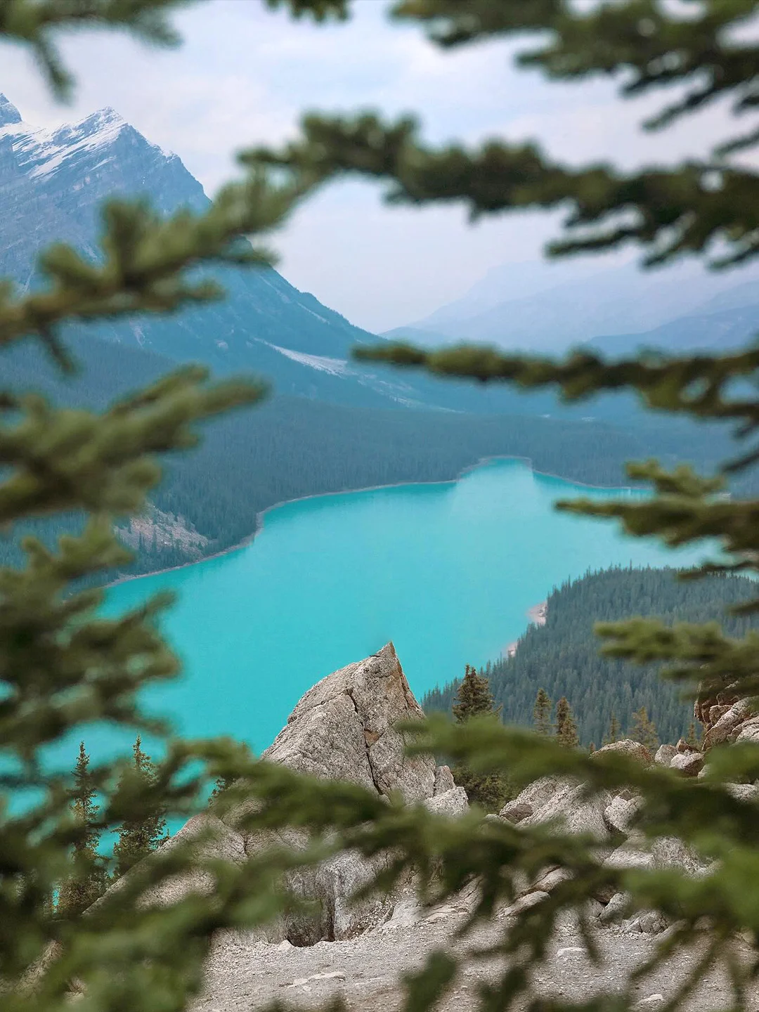 Mastering Vancouver! Custom Private Tours with Local Chinese Drivers in the City and Beyond