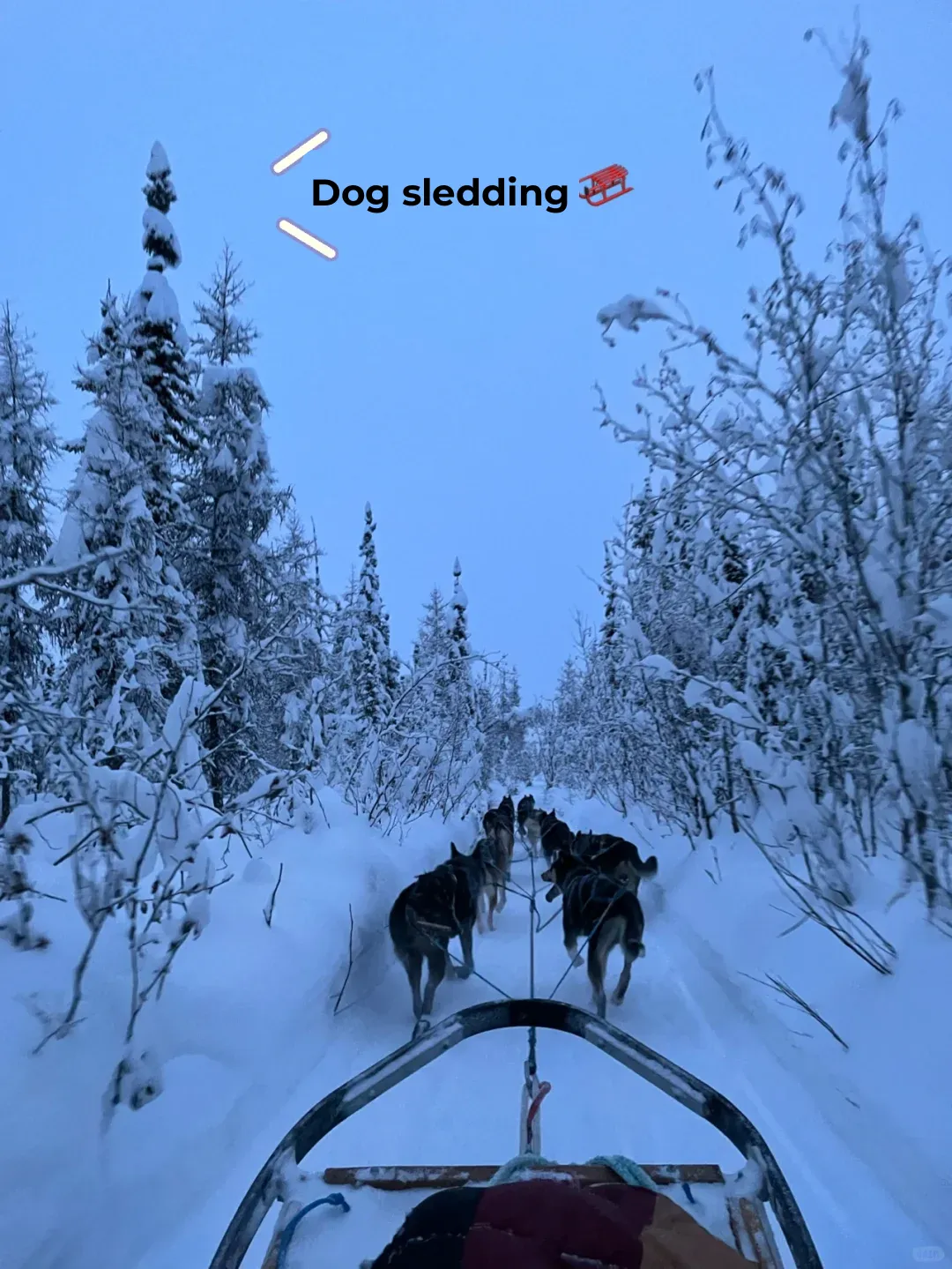 Alaska Adventure — Fairbanks