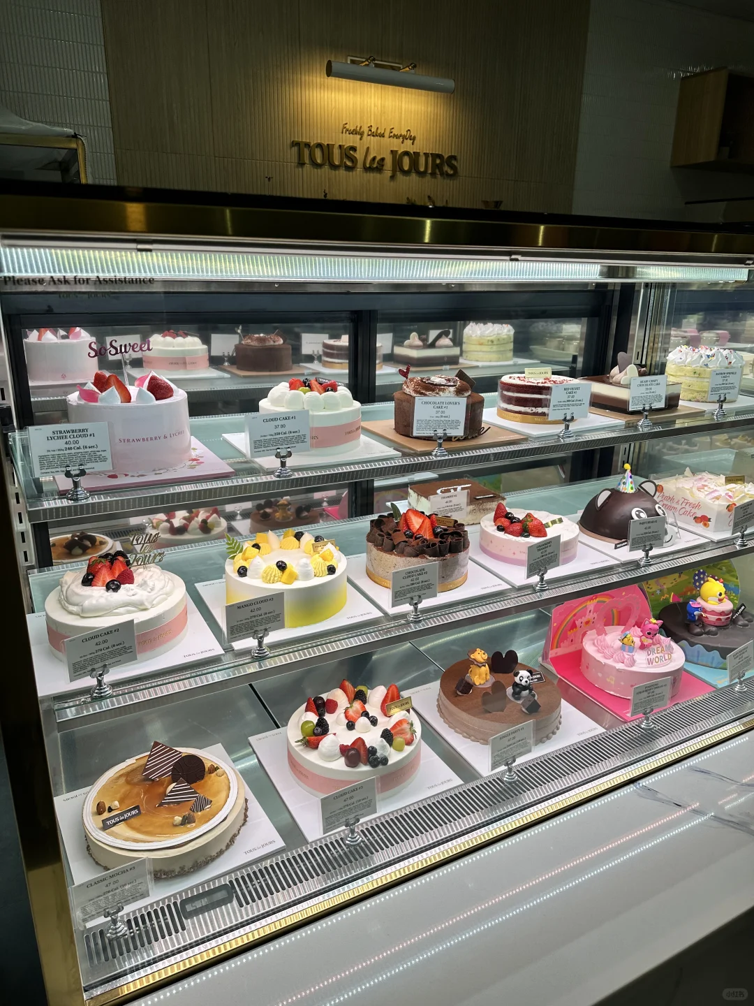 St. Louis Tous Les Jours: A Bread Lover's Paradise