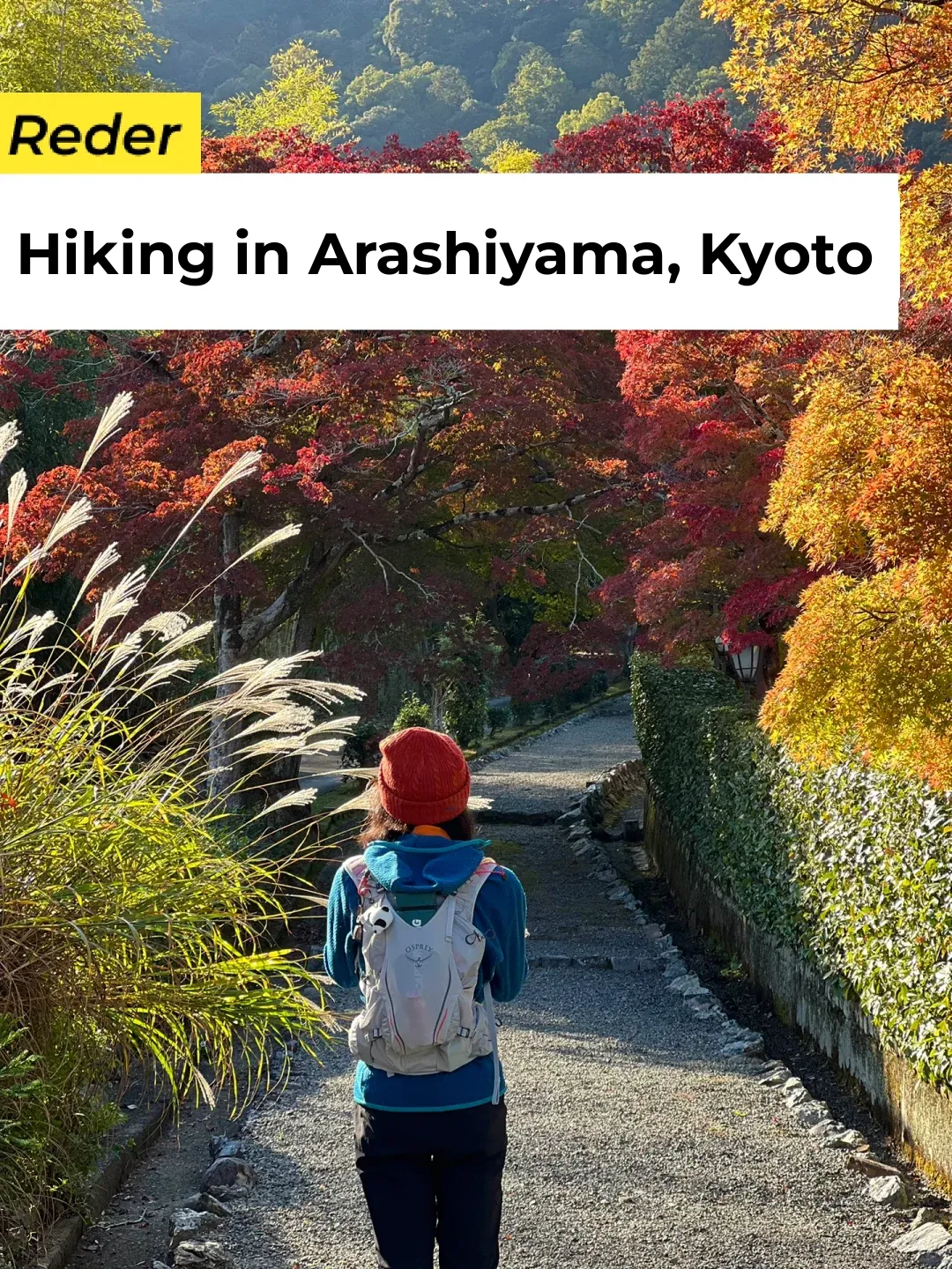 🇯🇵 Kyoto | Can't Catch the Arashiyama Train? No Worries, We've Got 11-Road!