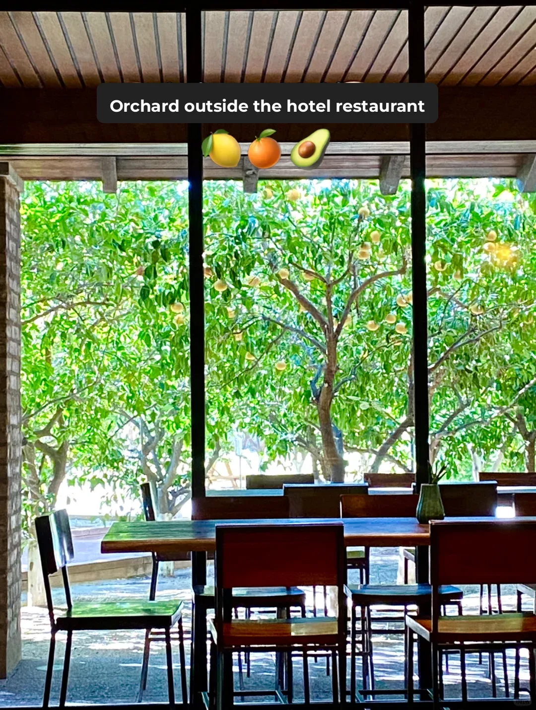 Arizona Phoenix Ritz Hotel | Food | Museums (Part 2)