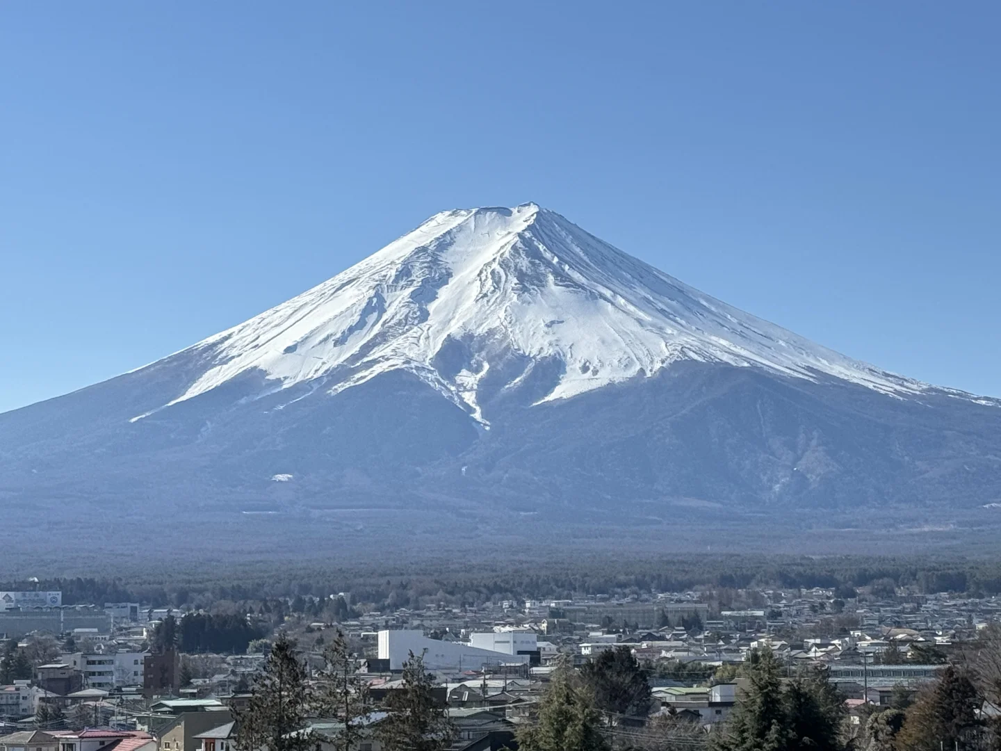 【Teammate Says I'm Too Lazy】Tokyo Guide